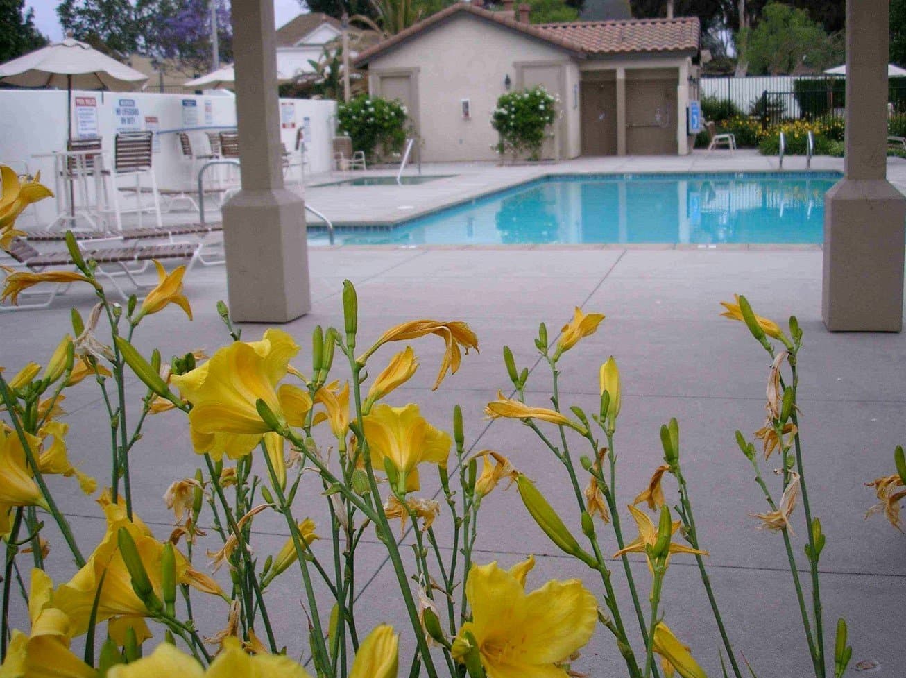 Oceanside Single Room: 246 Franciscan Way