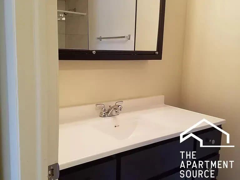 Oak Park Apartment: 110 North Kenilworth Avenue #2A Oak Park, IL 60301