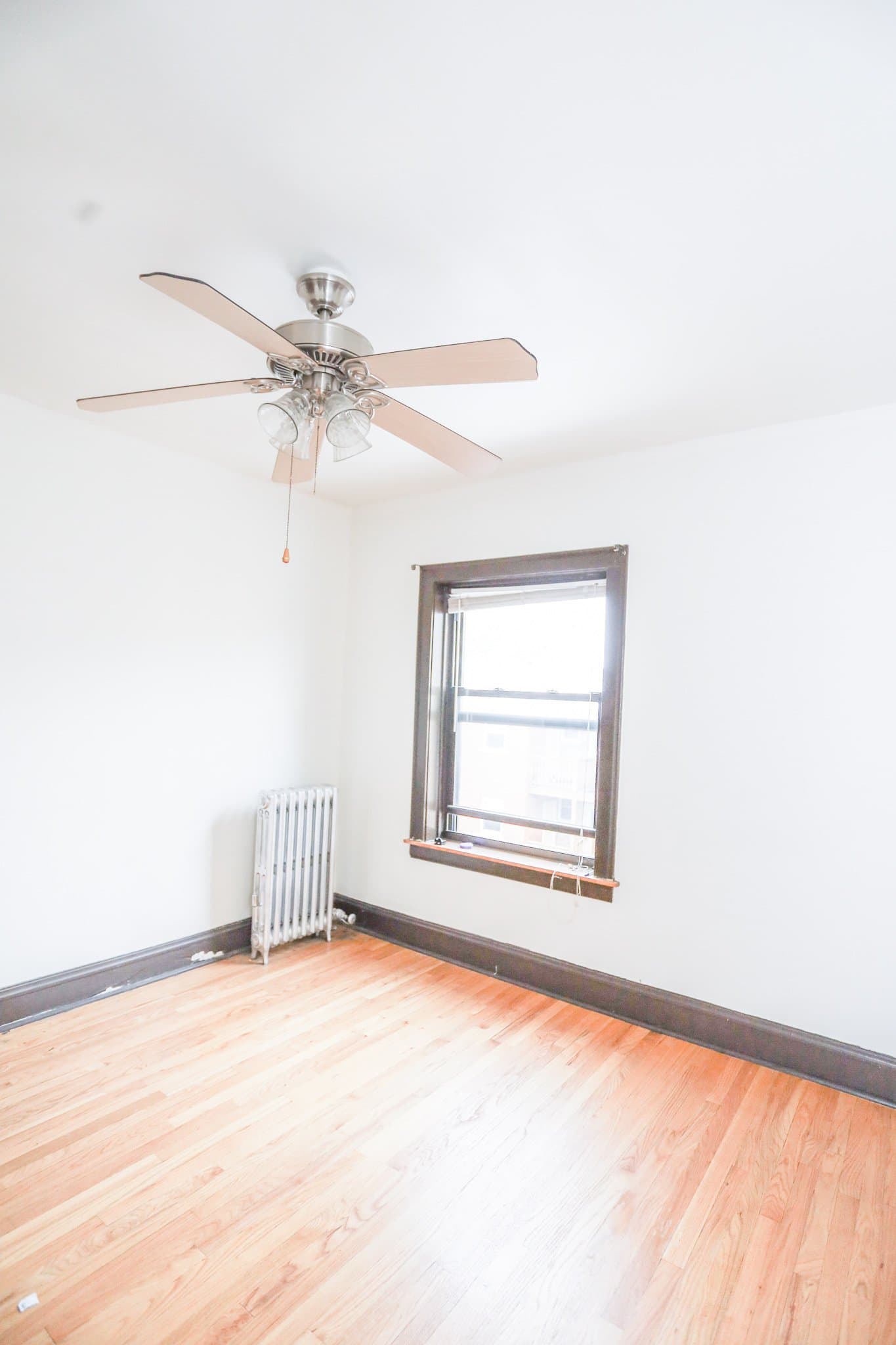 Chicago Apartment: 2017 Berwyn