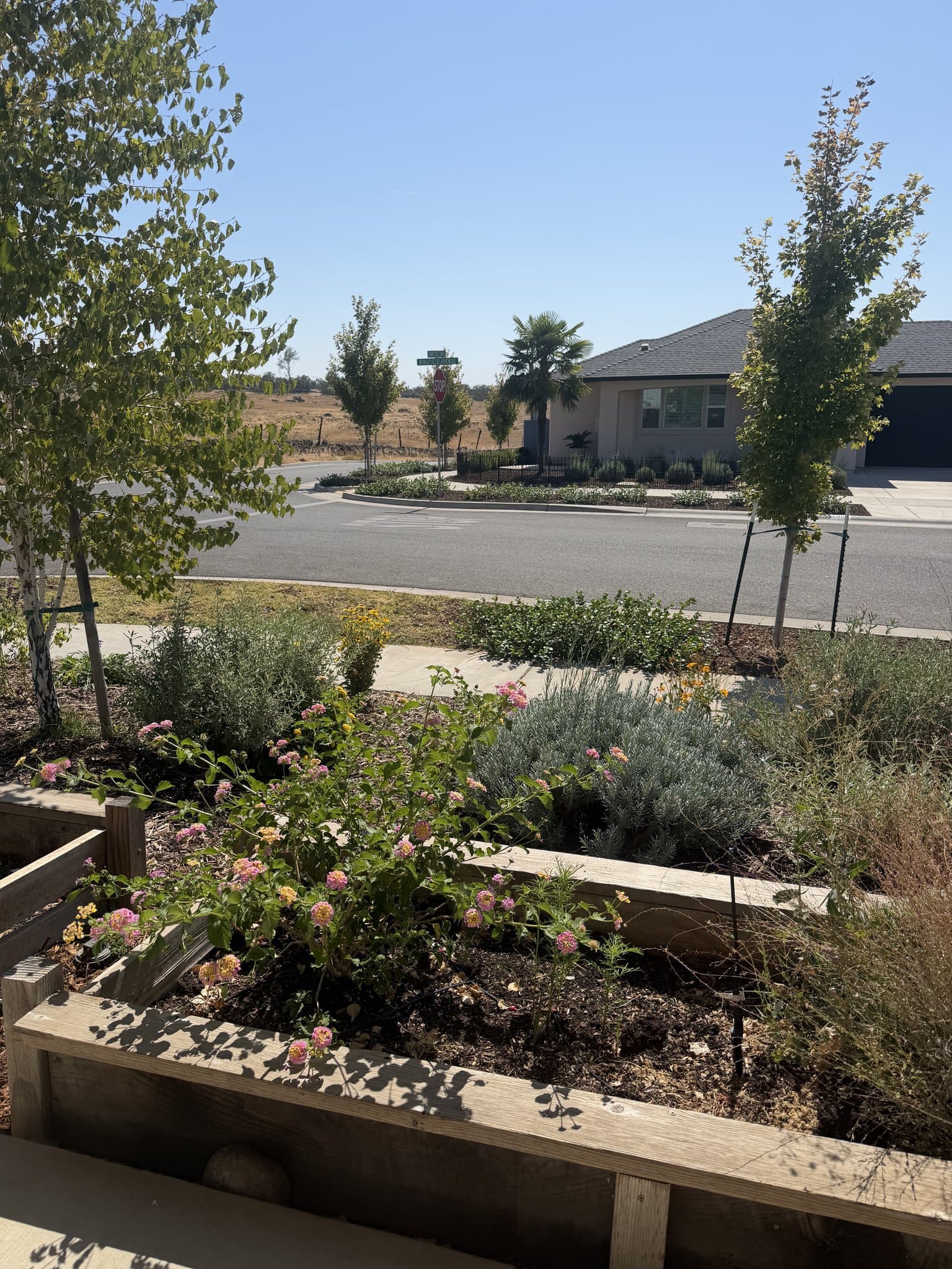 Chico House: 2996 Wingfield Ave