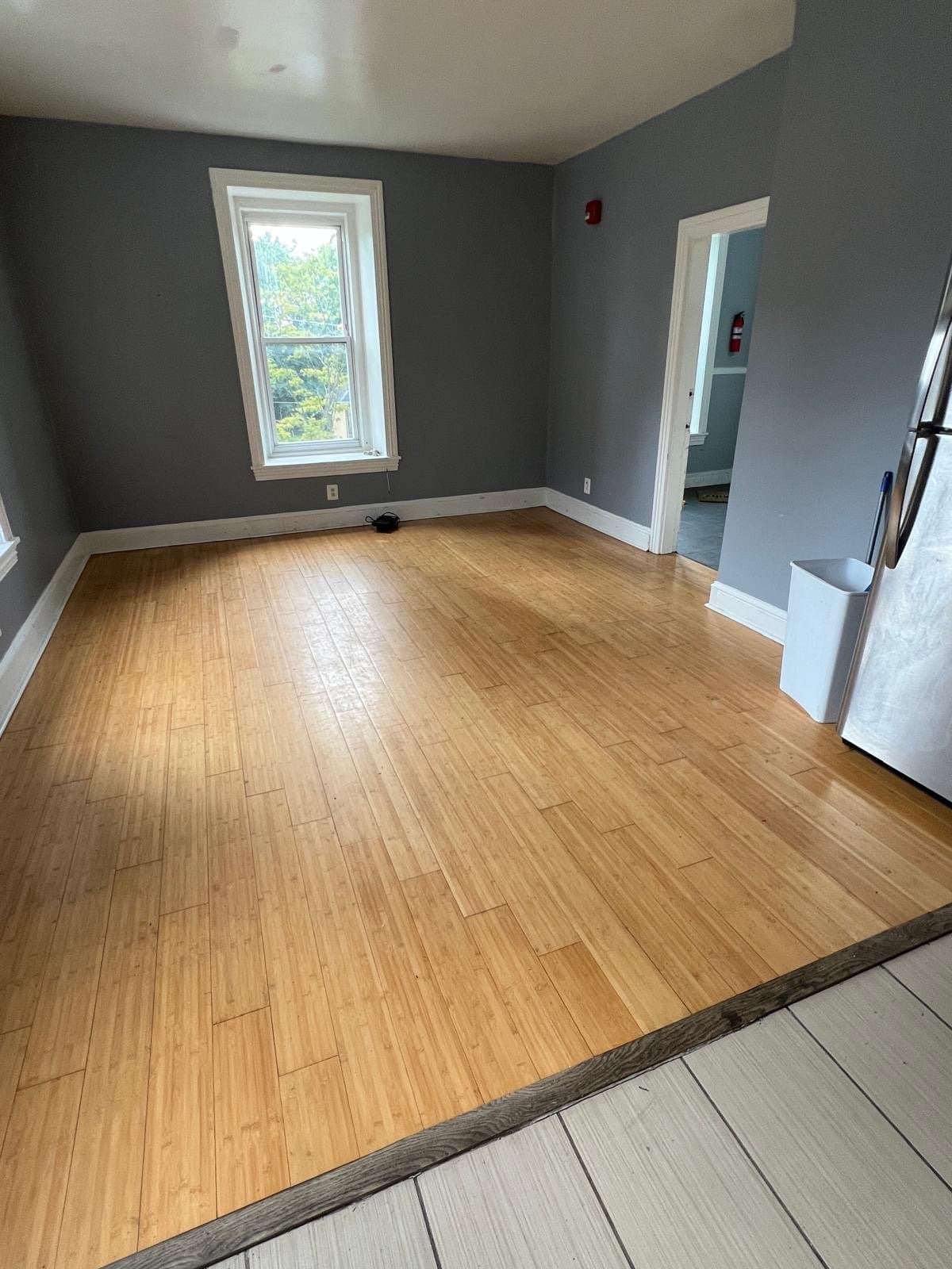 Philadelphia Apartment: 69 E Logan St