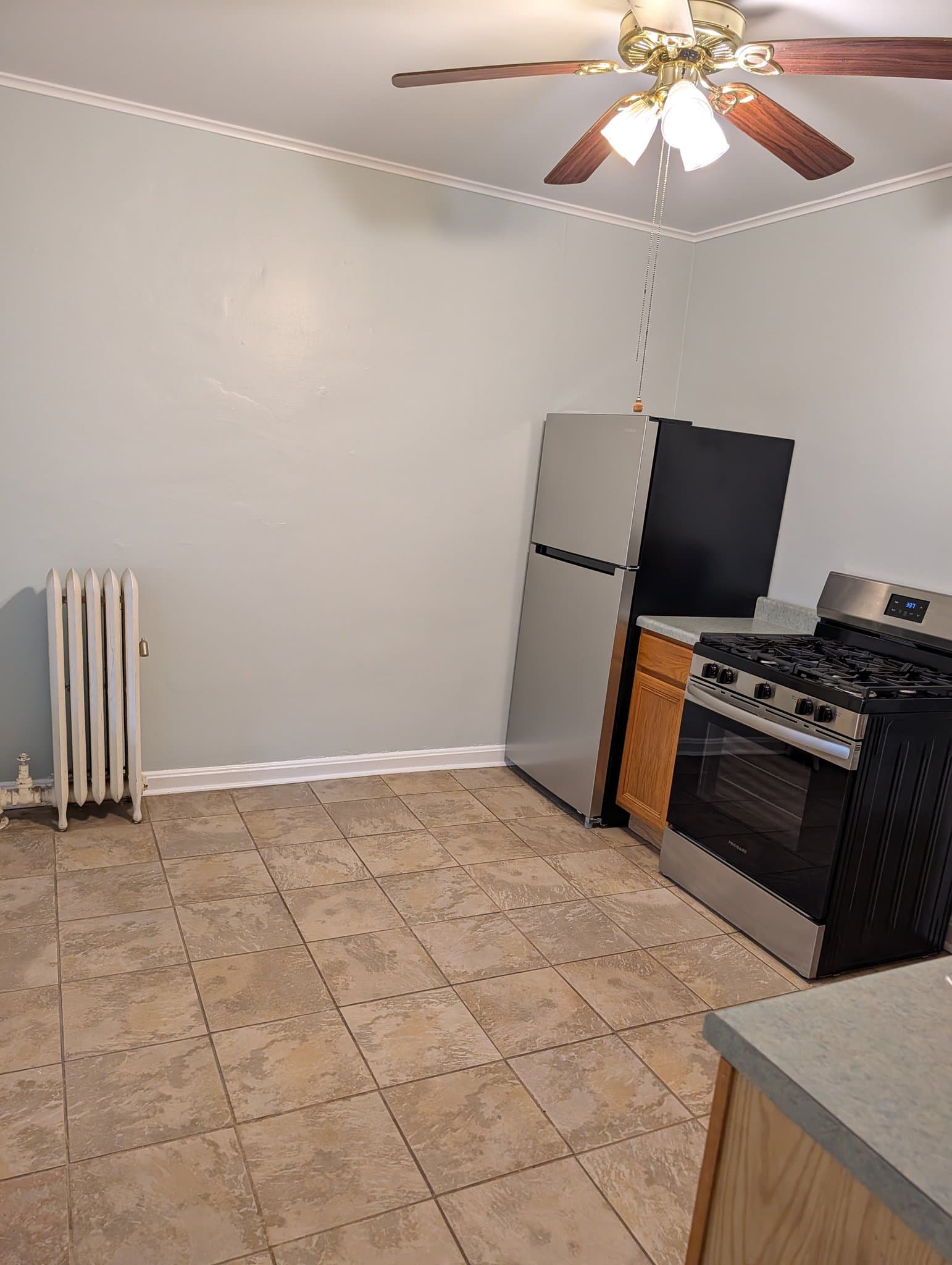 Chicago Multiplex: 1752 W School St Unit 1