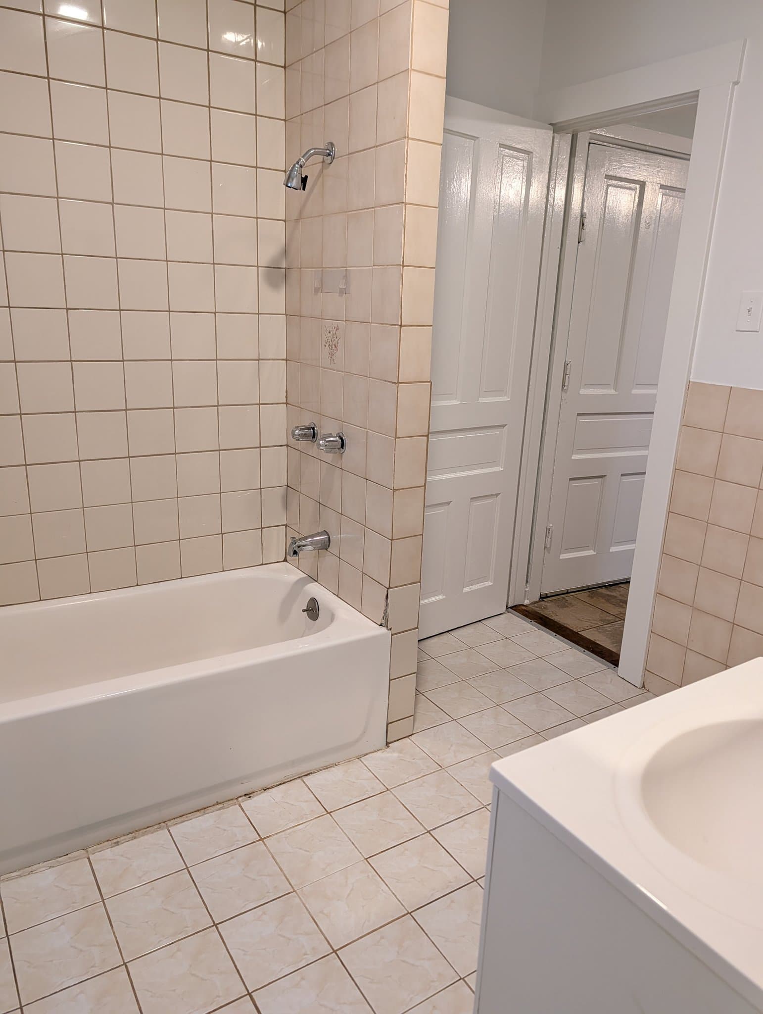 Chicago Multiplex: 1752 W School St Unit 1