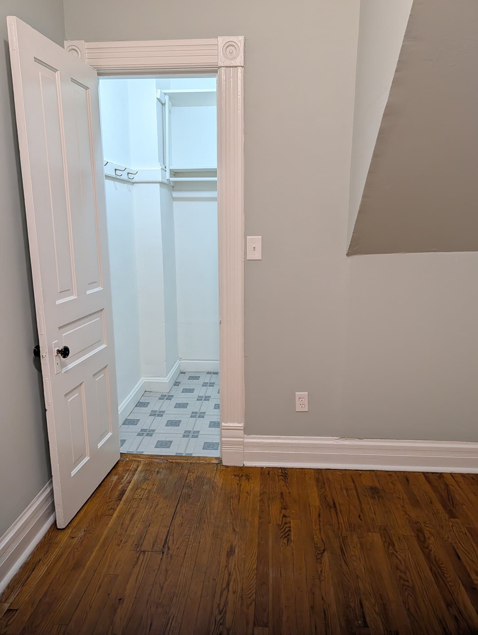 Chicago Multiplex: 1752 W School St Unit 1