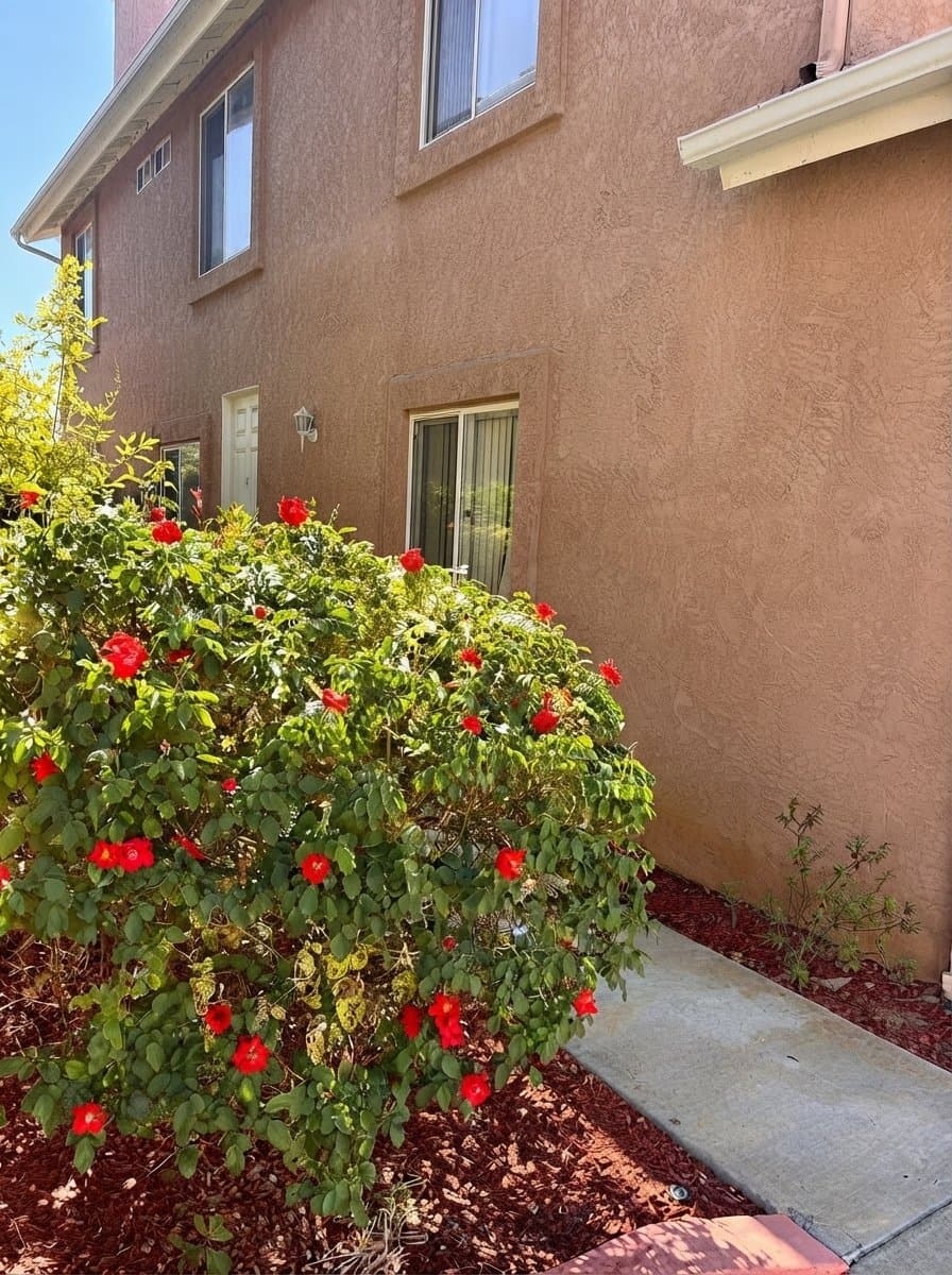 El Cajon Townhome: 547 Hart Dr