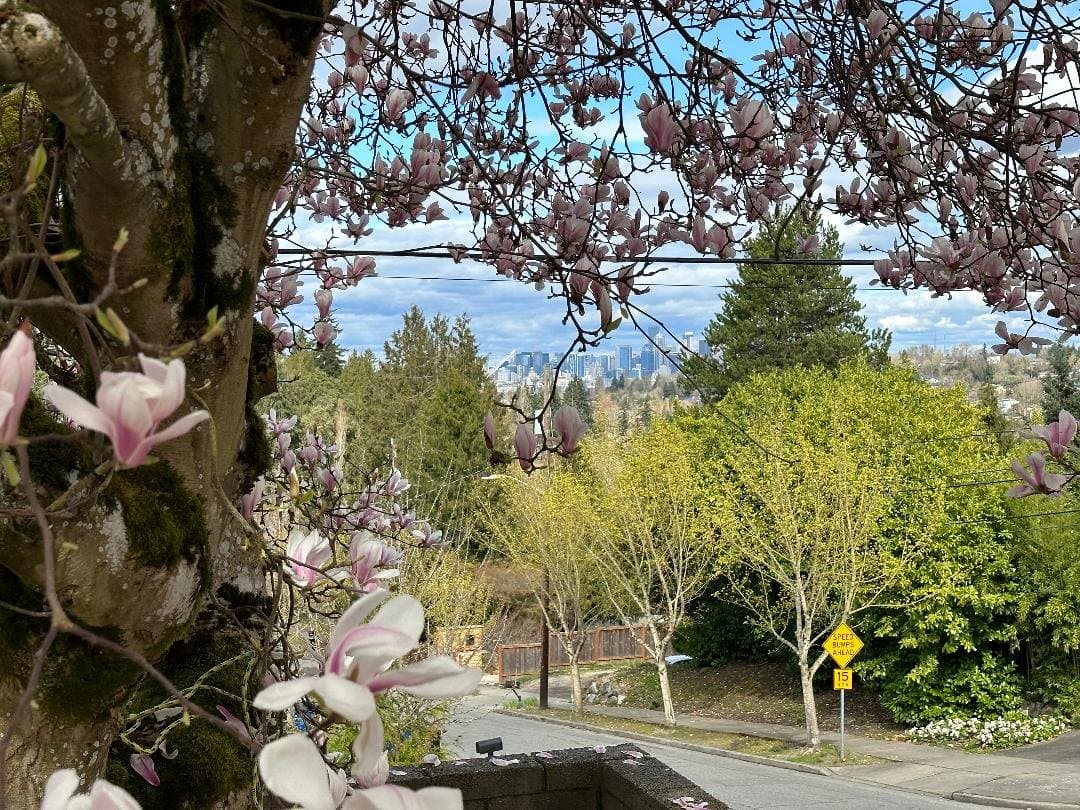 seattle House: 5603 30th ave sw