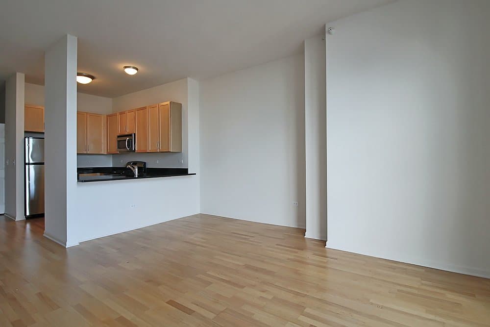 Chicago Condo: 29 E 9th St