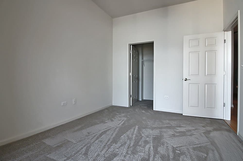Chicago Condo: 29 E 9th St