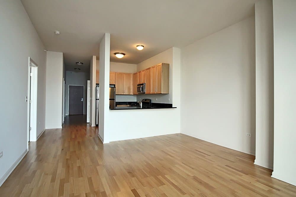Chicago Condo: 29 E 9th St