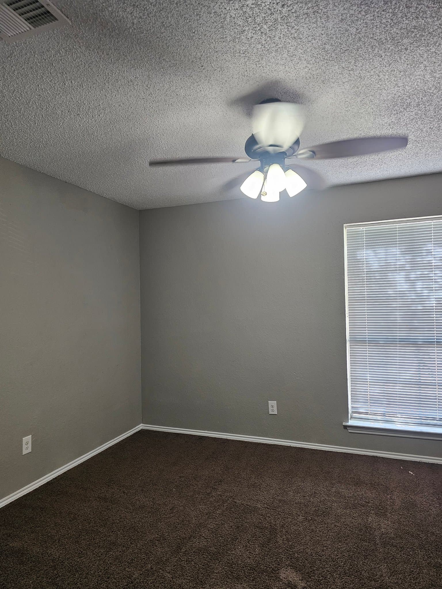 Arlington Townhome: 1815 Sheehan Ct