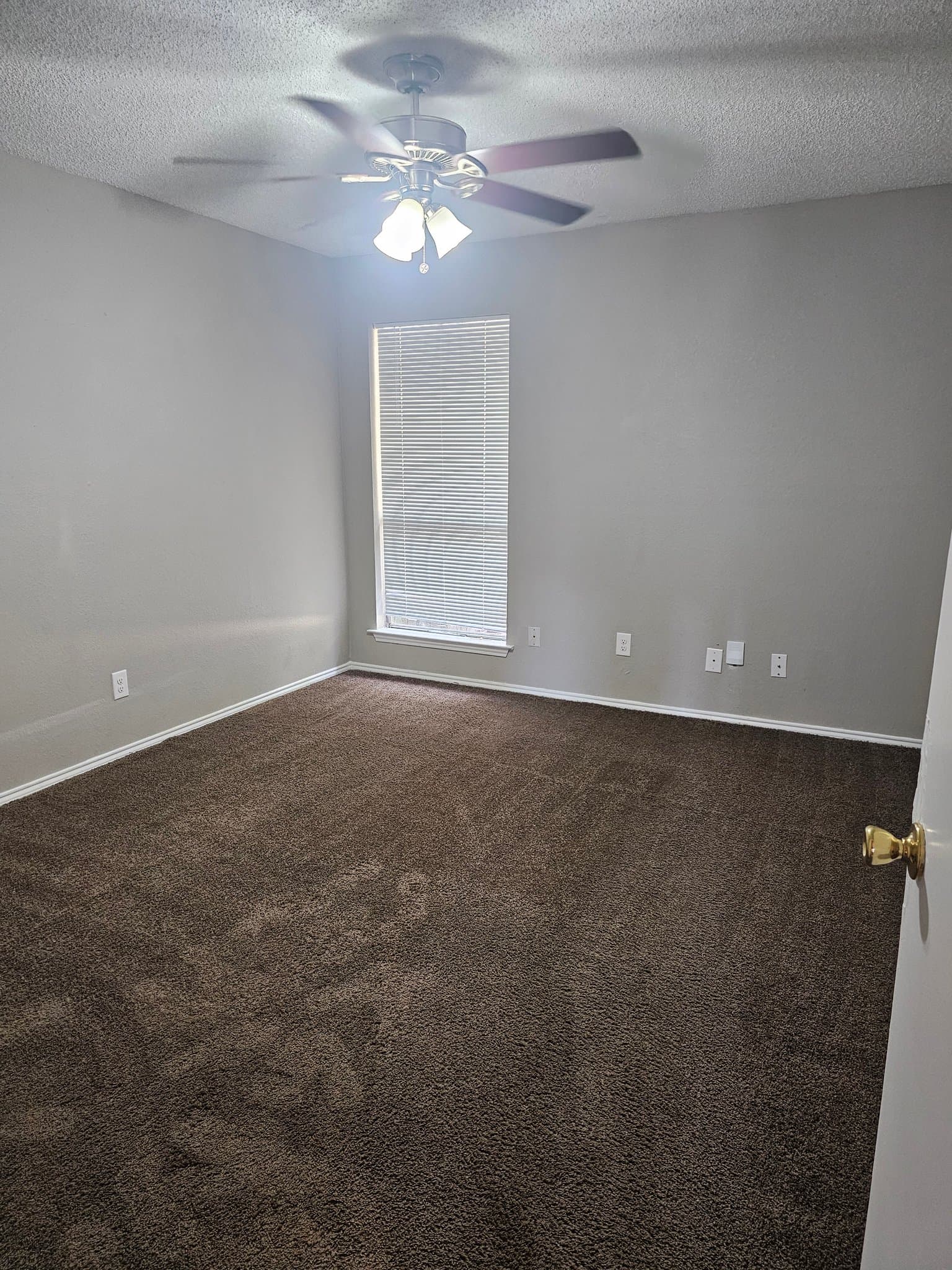 Arlington Townhome: 1815 Sheehan Ct