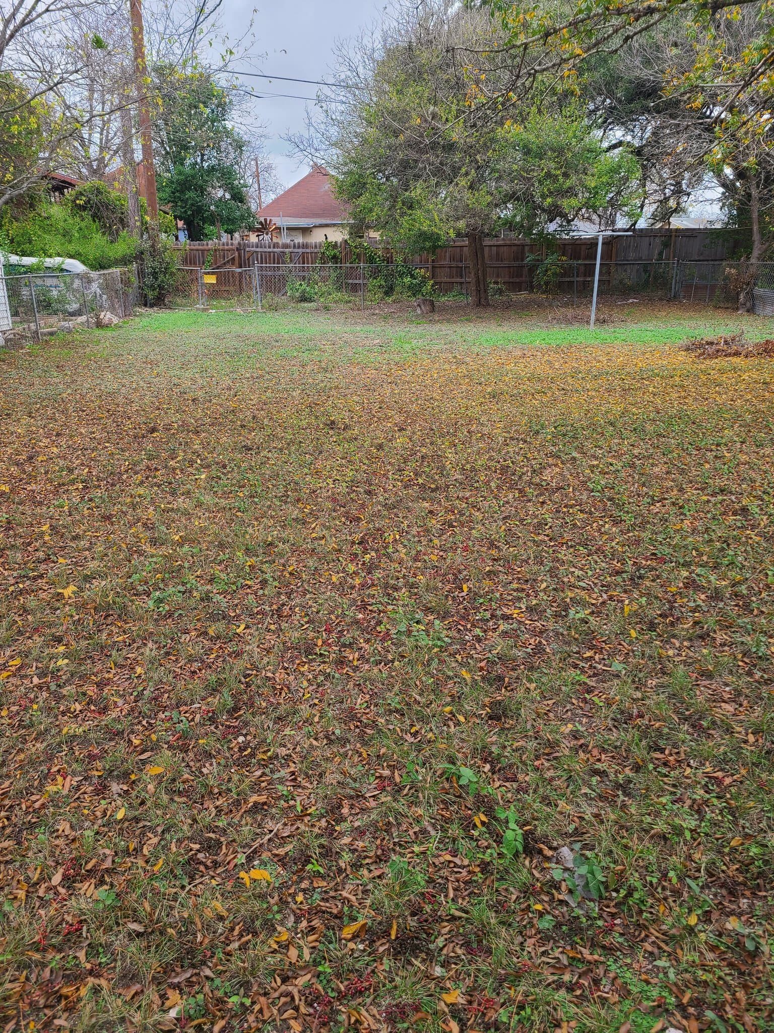 San Antonio House: 1431 Aransas Ave
