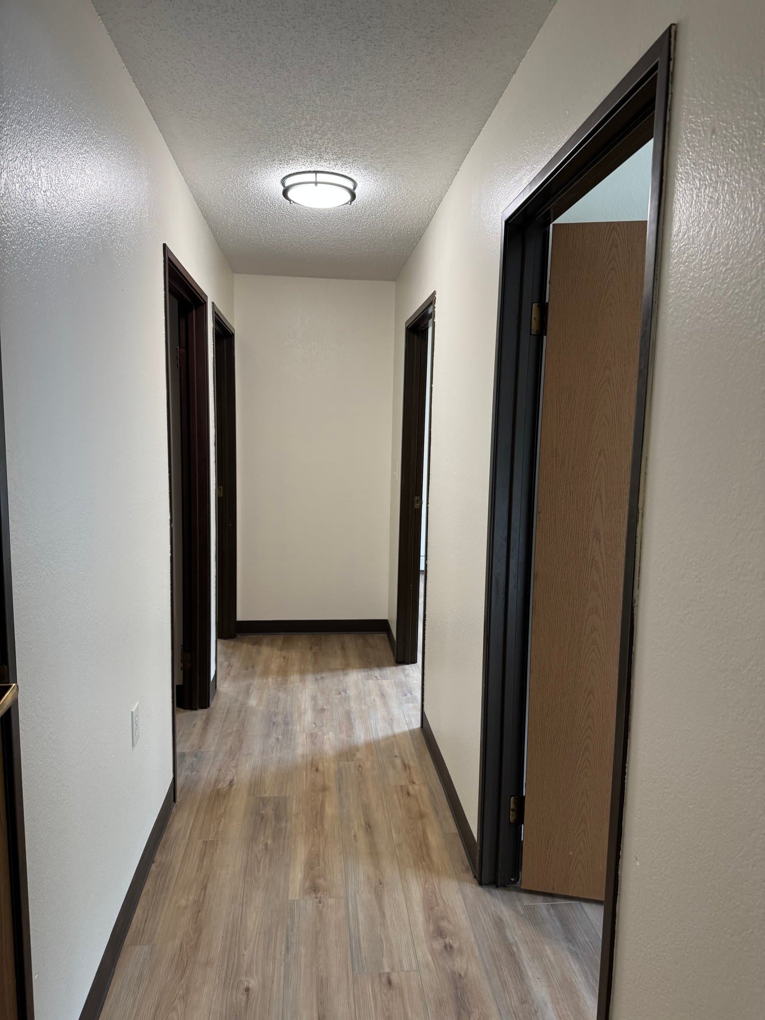 Blackduck Apartment: 325 Summit Ave