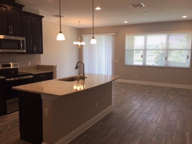 Lutz Townhome: 1961 Milkweed Trce
