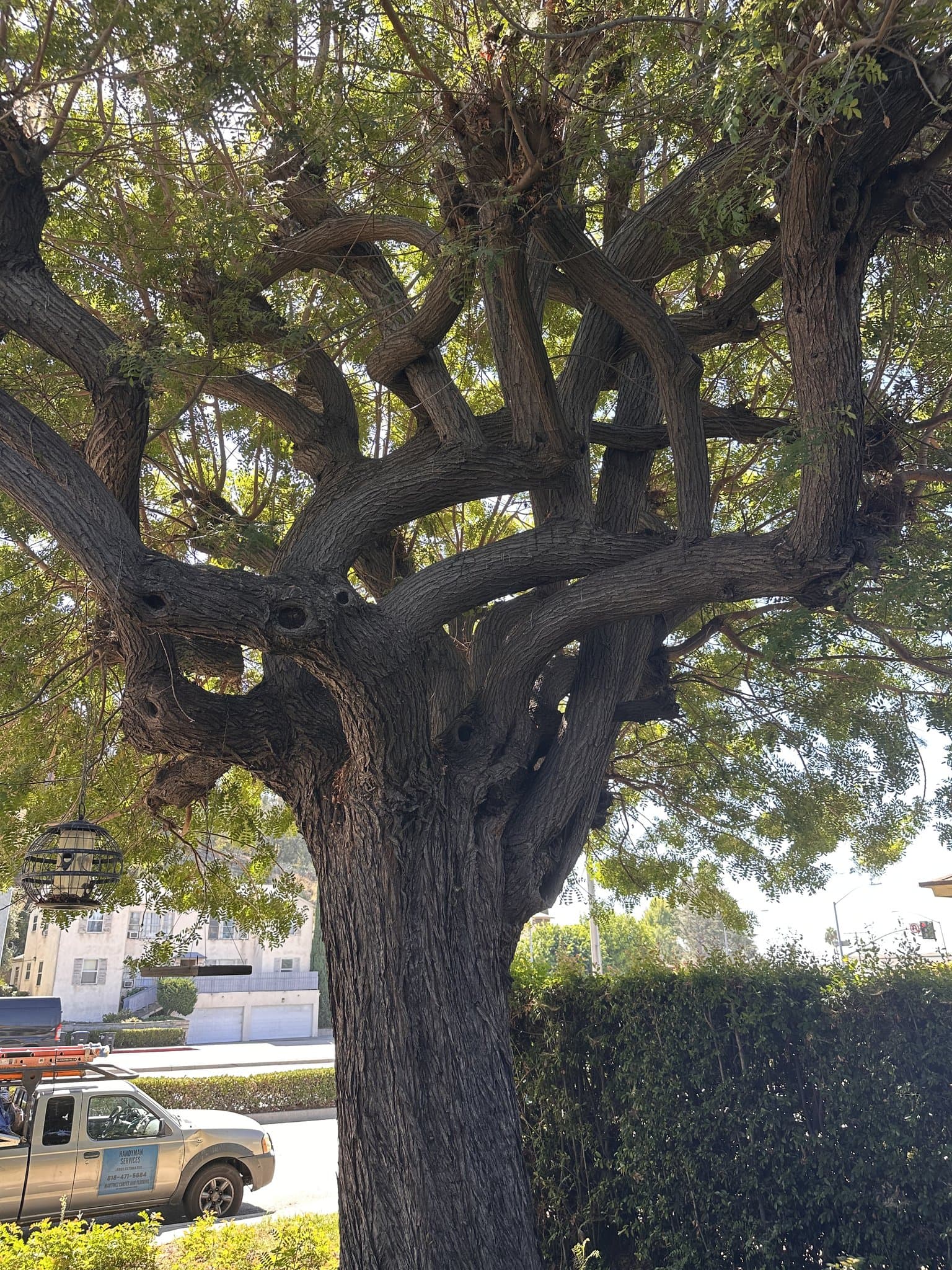Glendale Apartment: 1137 N Verdugo Rd