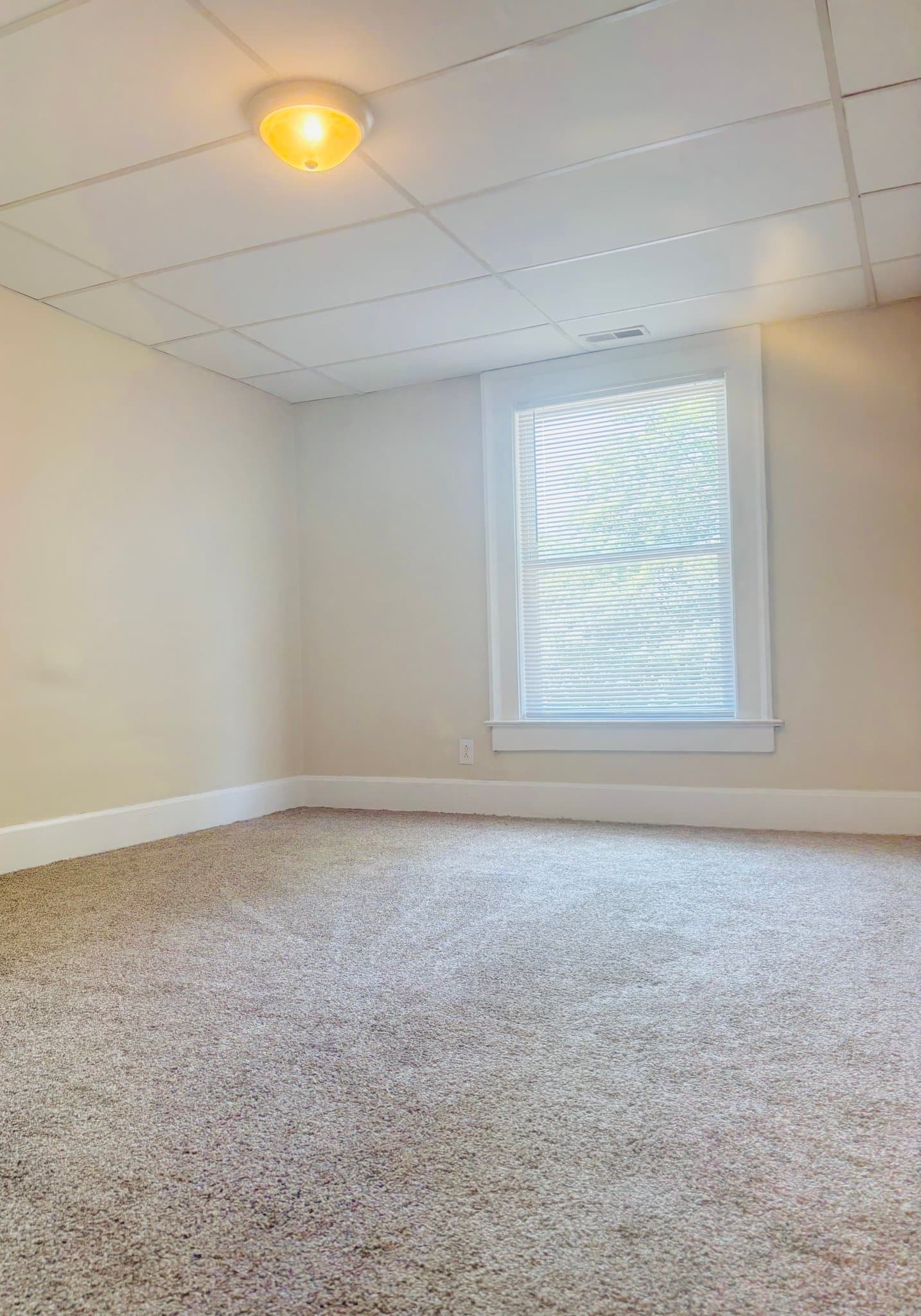 Terre Haute Apartment: 818 S 9th Street