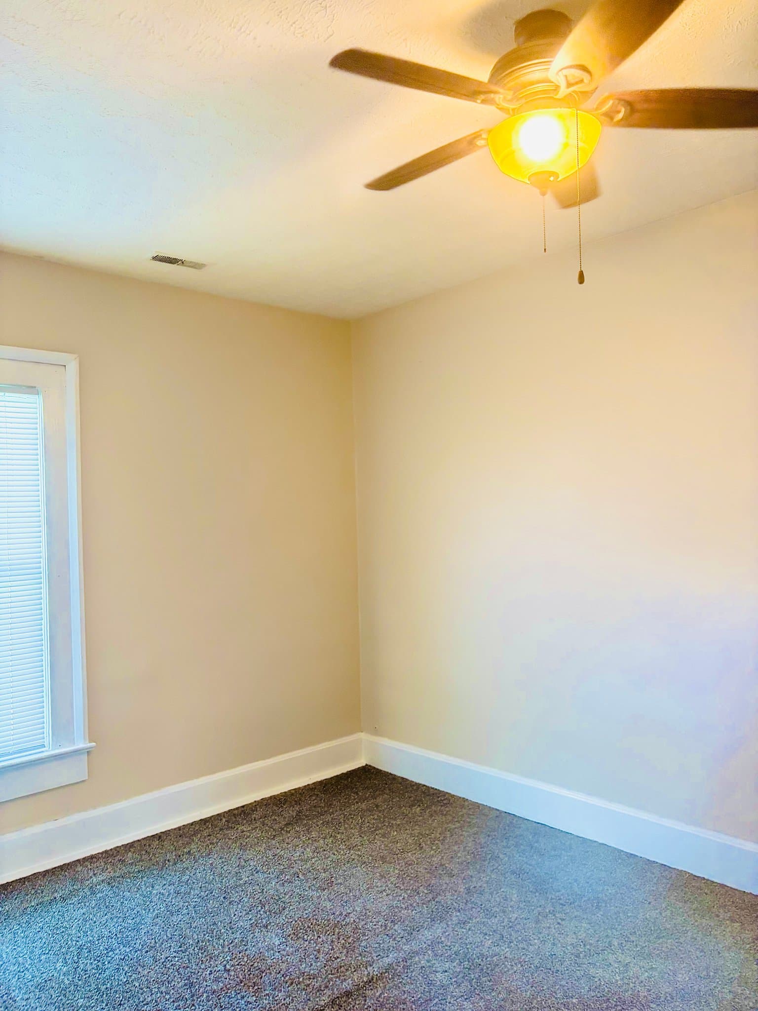Terre Haute Apartment: 818 S 9th Street