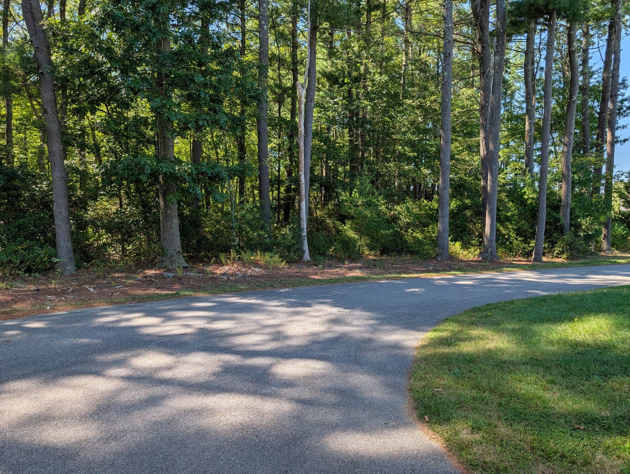 Lakeville House: 10 Shamrock lane