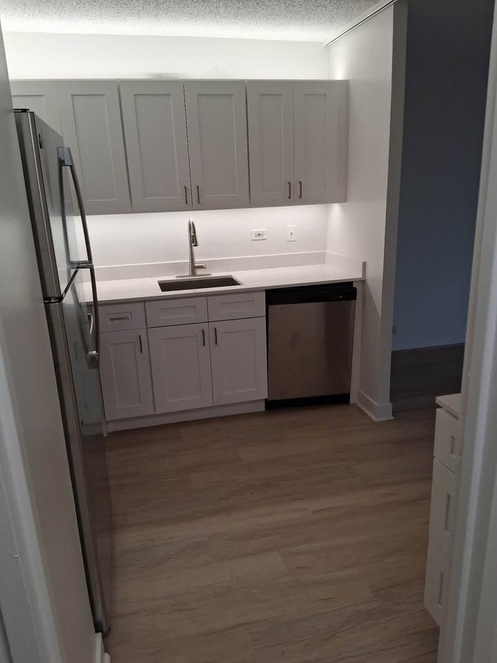 Chicago Condo: 230 E Wacker Dr