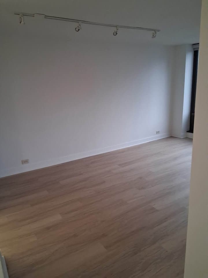 Chicago Condo: 230 E Wacker Dr