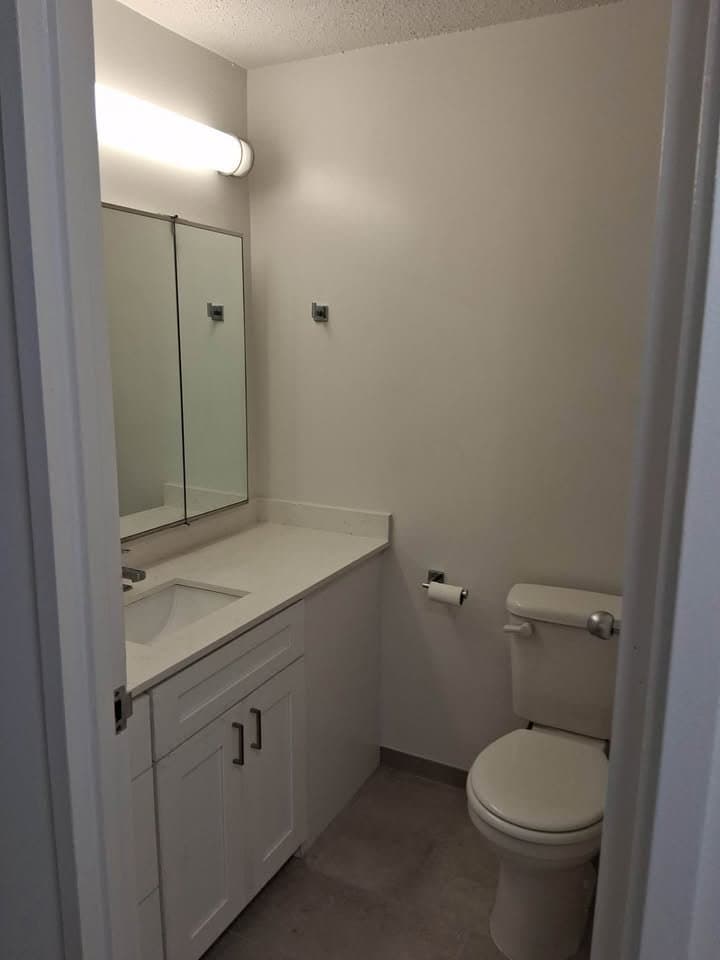 Chicago Condo: 230 E Wacker Dr