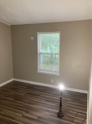 Land O Lakes House: 20516 Spanish Lane