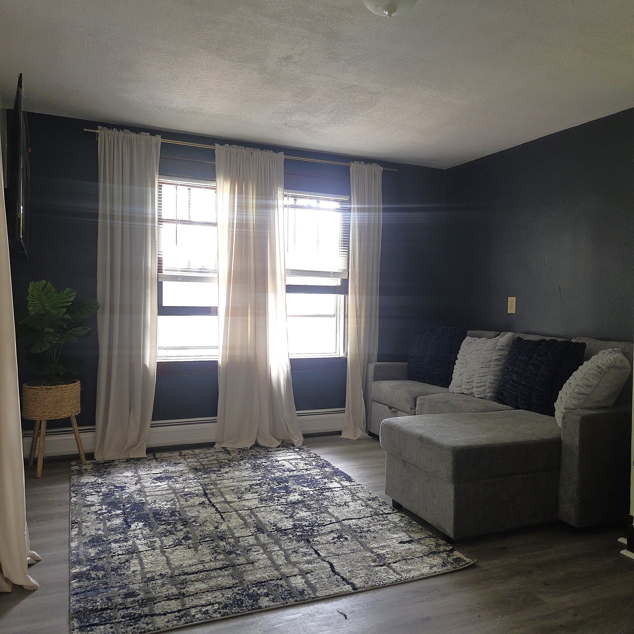 Vestal Apartment: 113 Clark Street