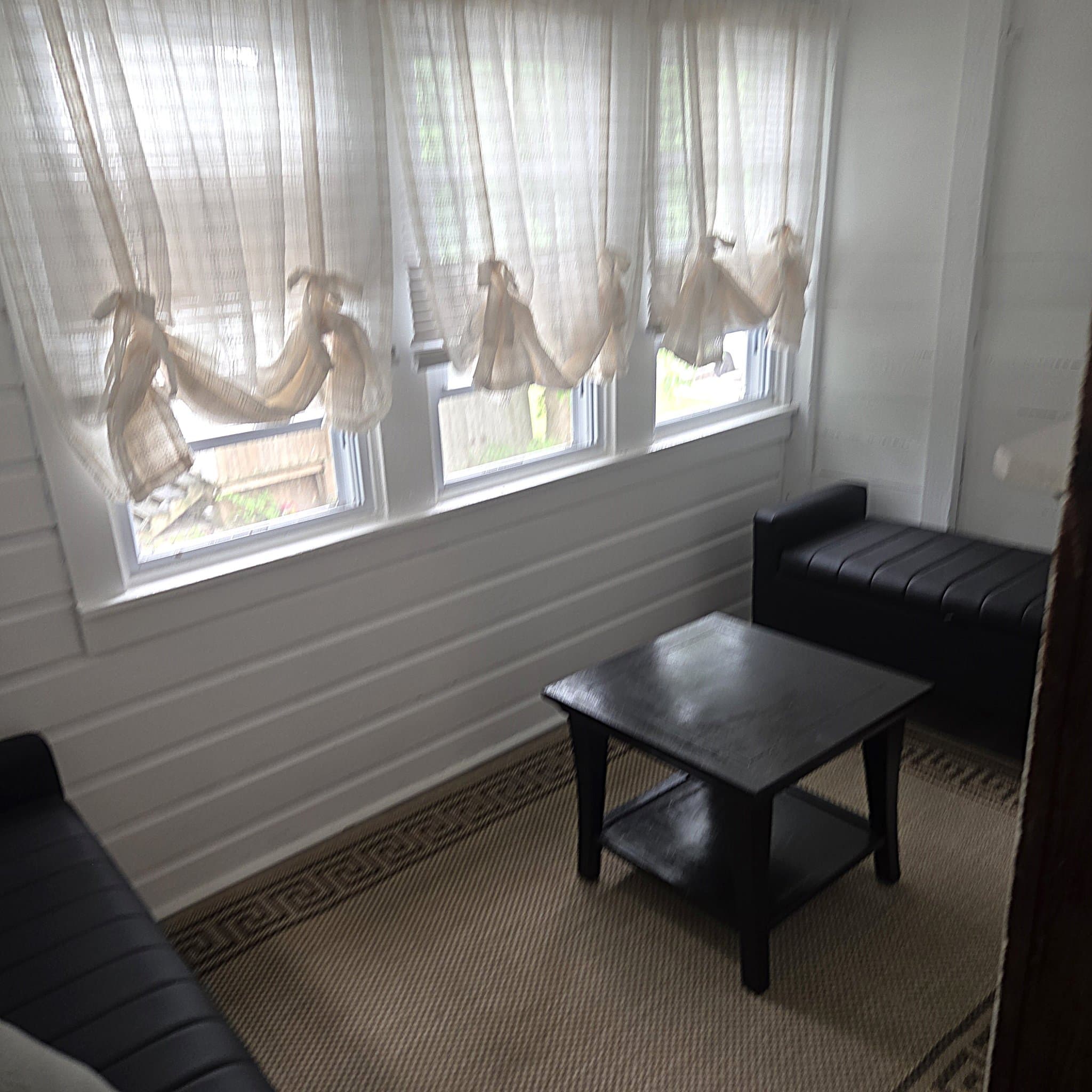 Vestal Apartment: 113 Clark Street