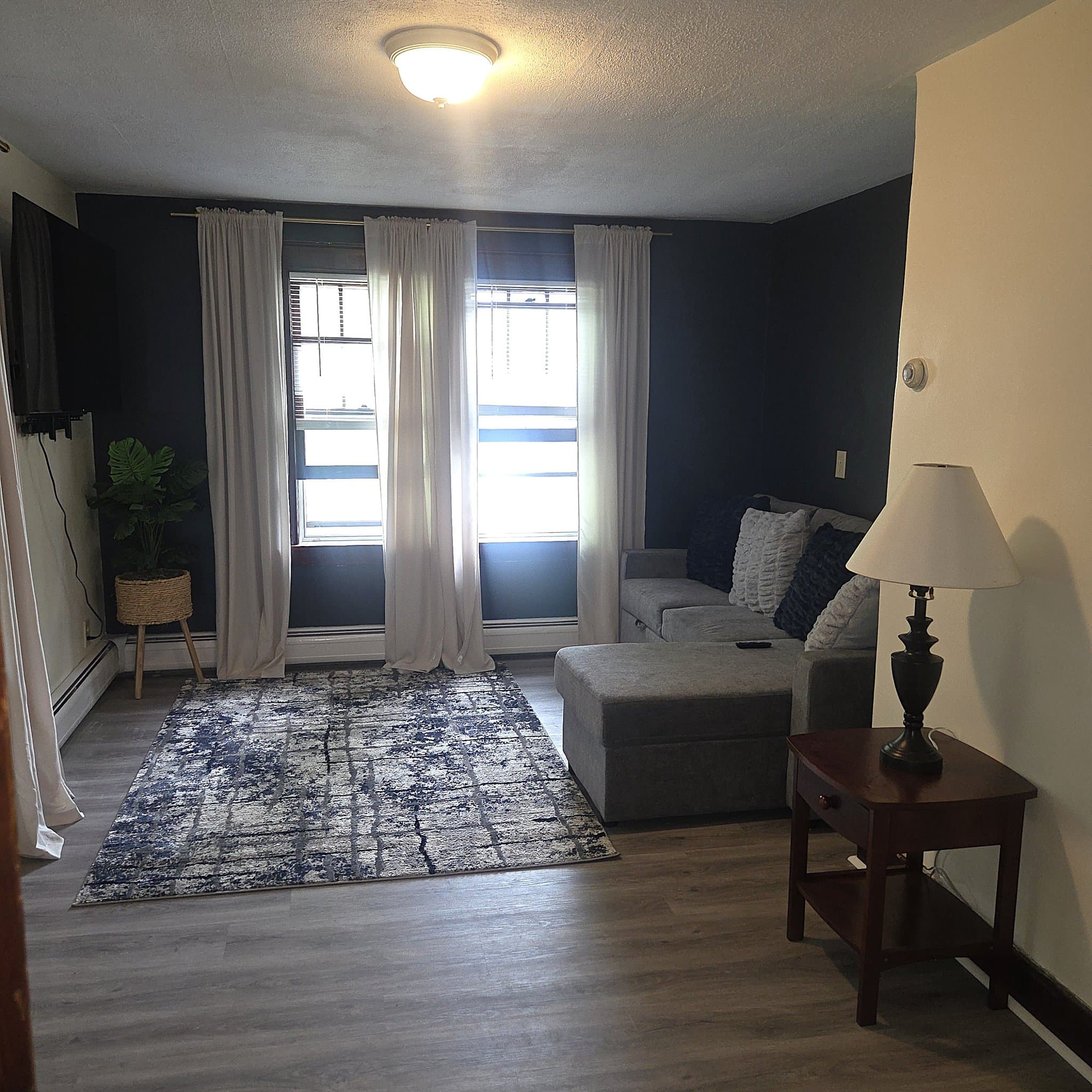 Vestal Apartment: 113 Clark Street