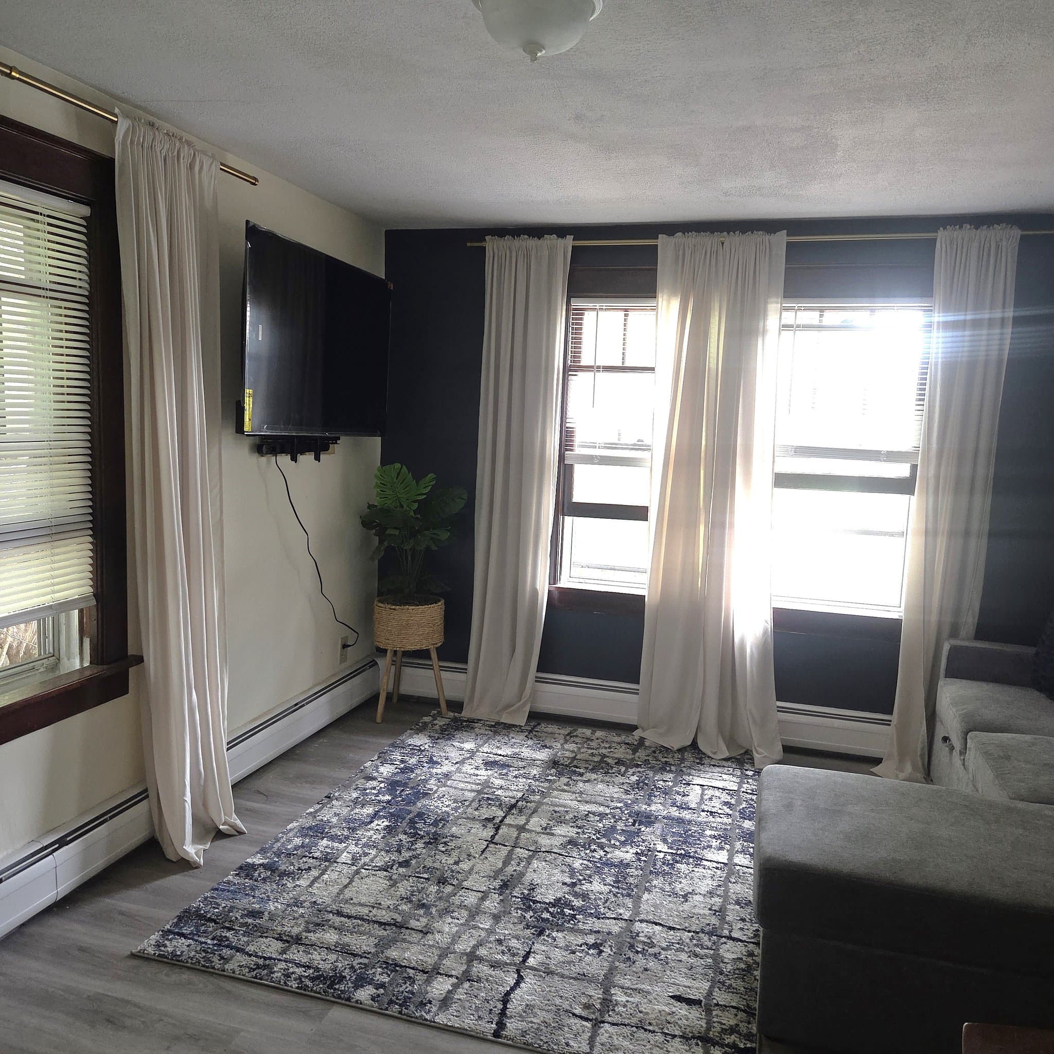 Vestal Apartment: 113 Clark Street