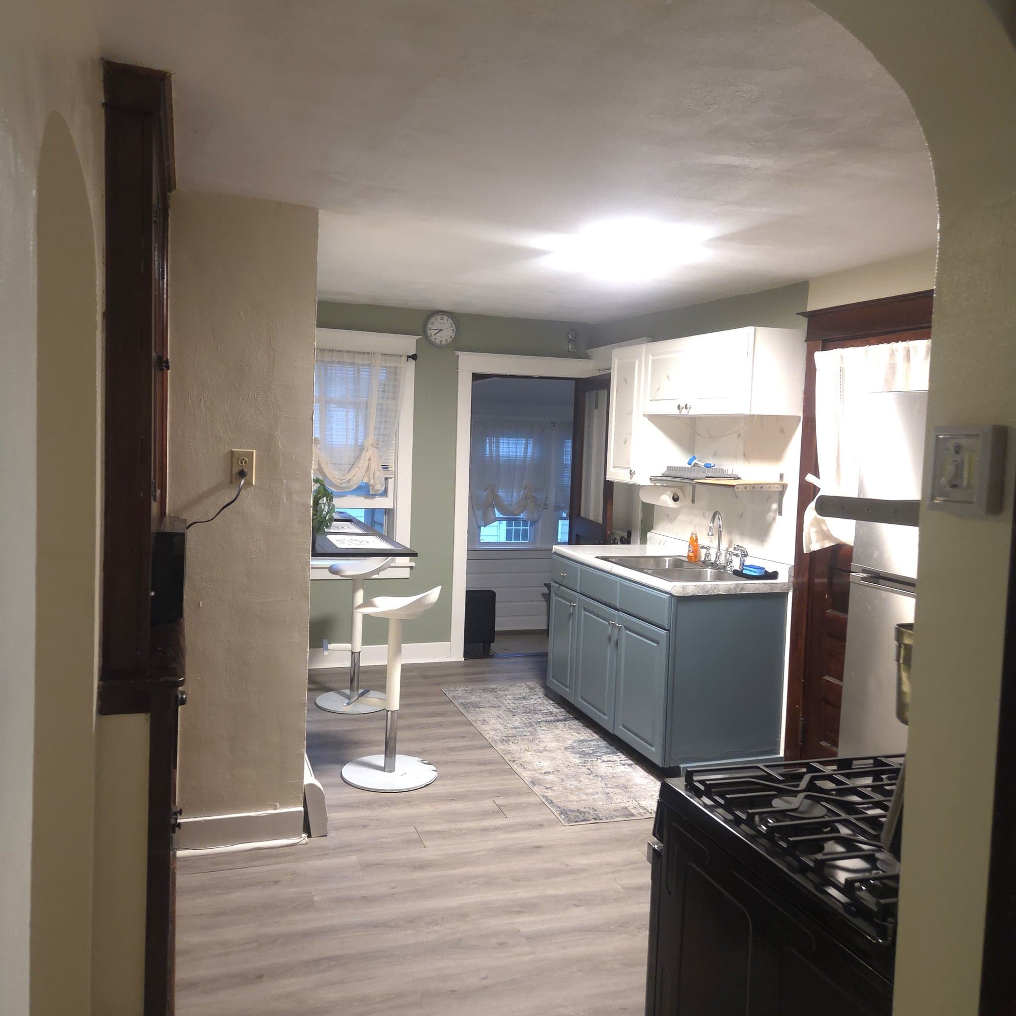 Vestal Apartment: 113 Clark Street