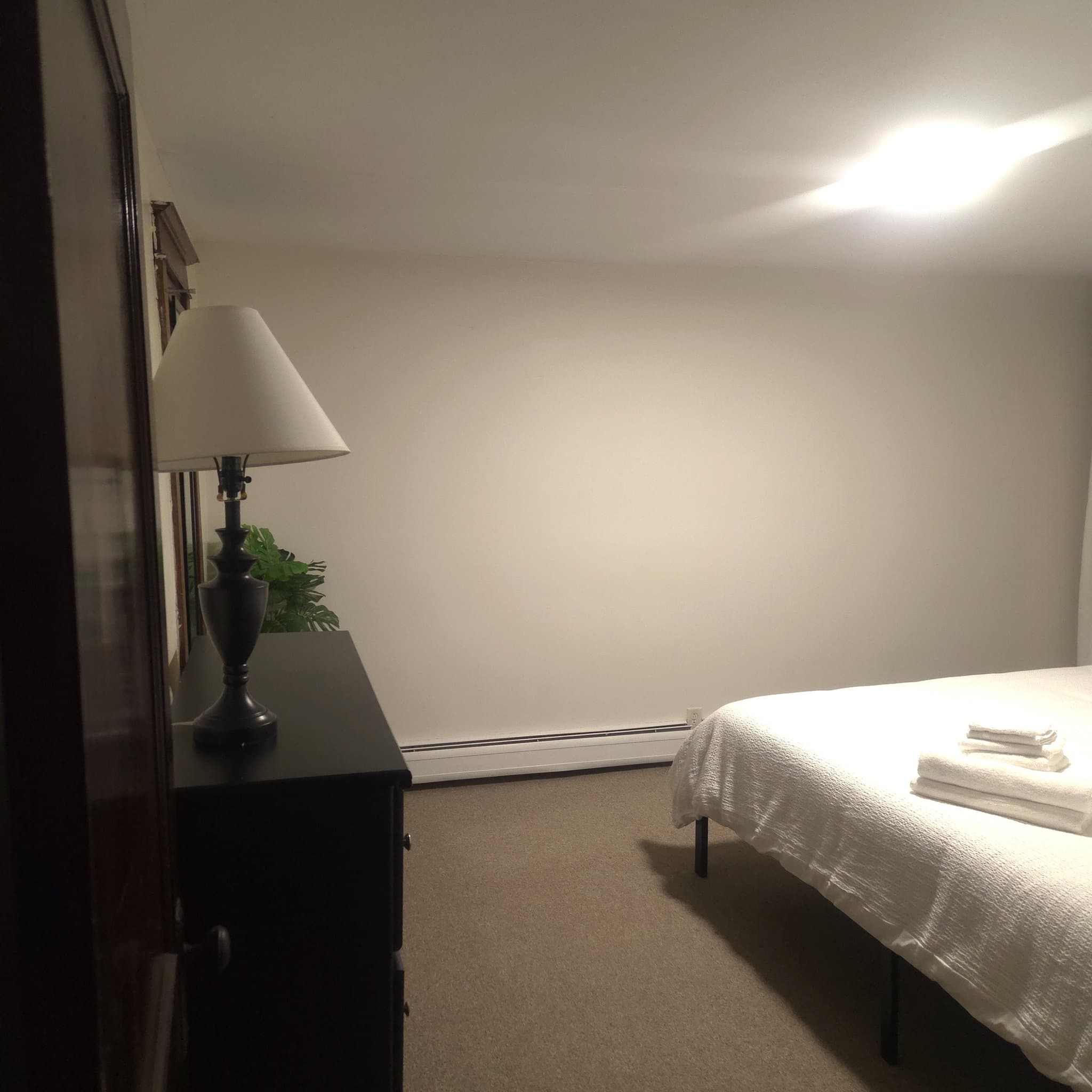 Vestal Apartment: 113 Clark Street