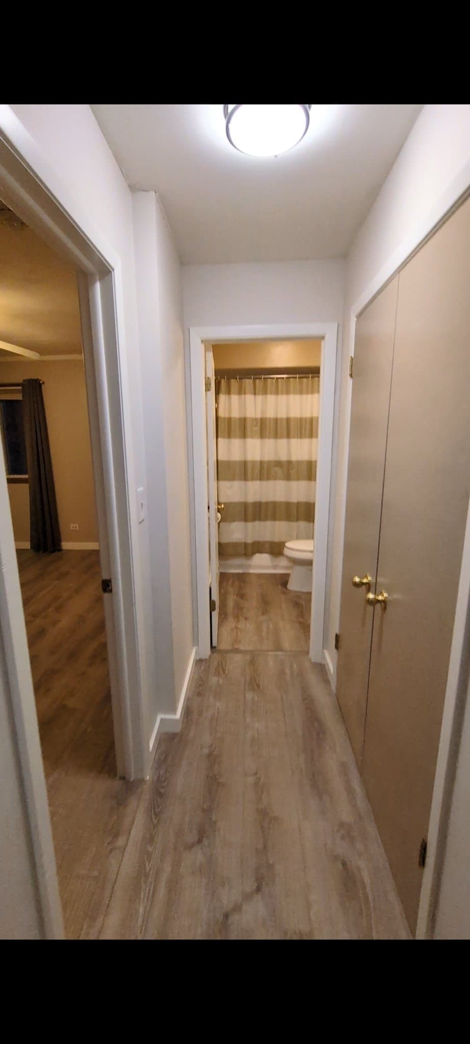 Forest Park Condo: 424 Elgin Ave Apt