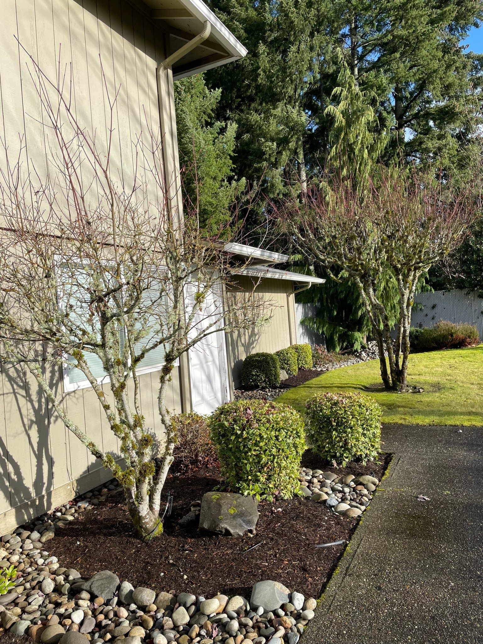Tumwater Multiplex: 300 Dennis St SE
