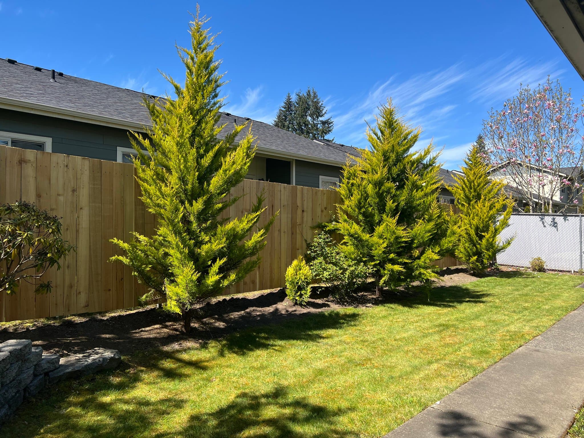 Tumwater Multiplex: 300 Dennis St SE