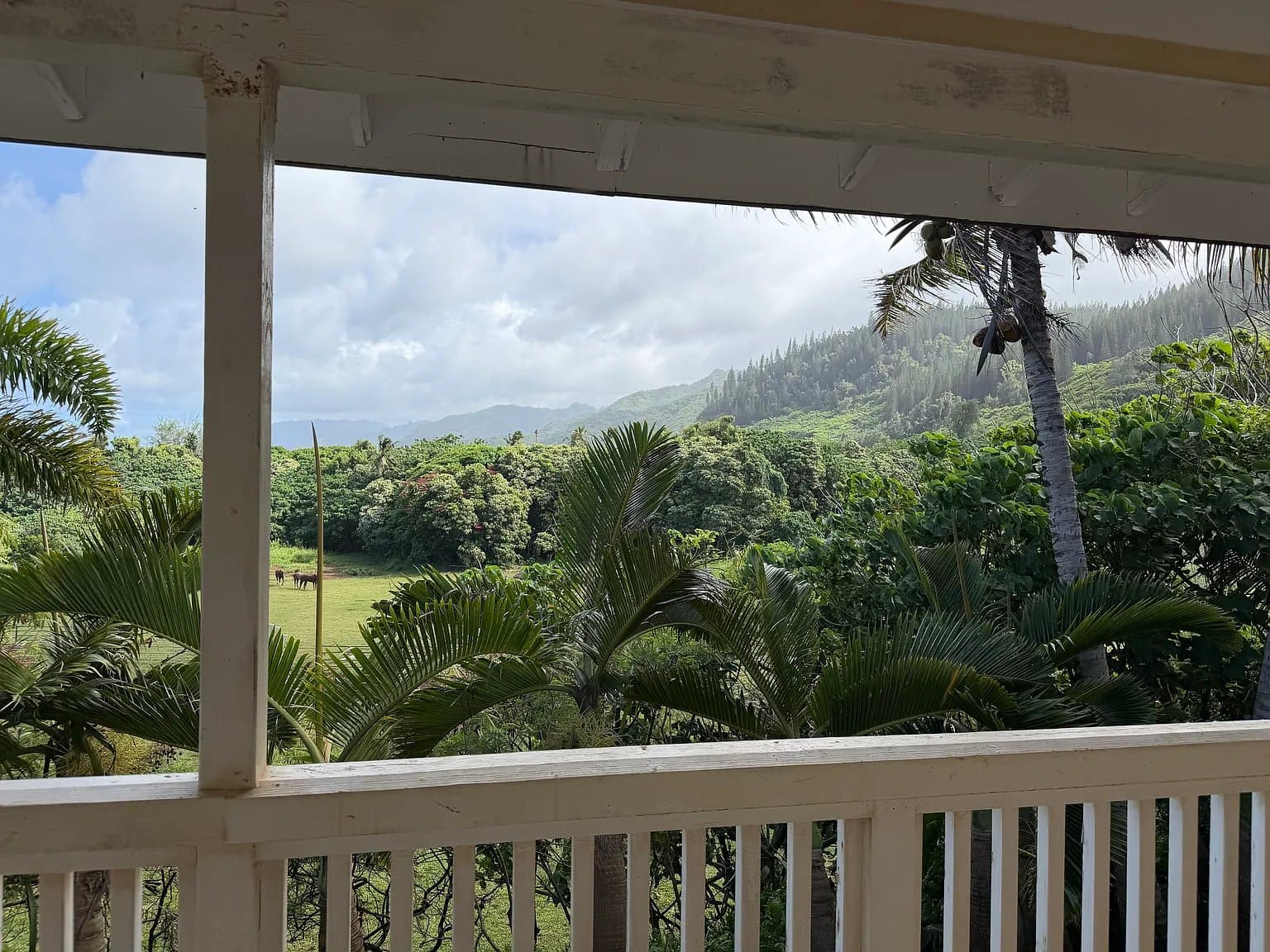 Hauula Multiplex: 54-174 Kawaipuna St.