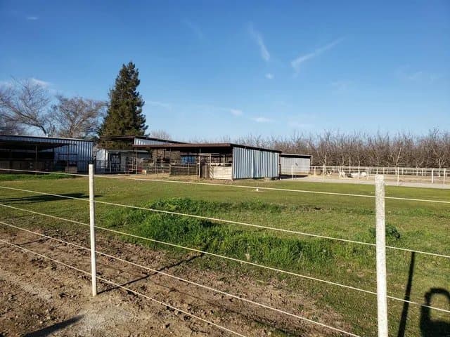 Patterson House: 705 Almond Ave