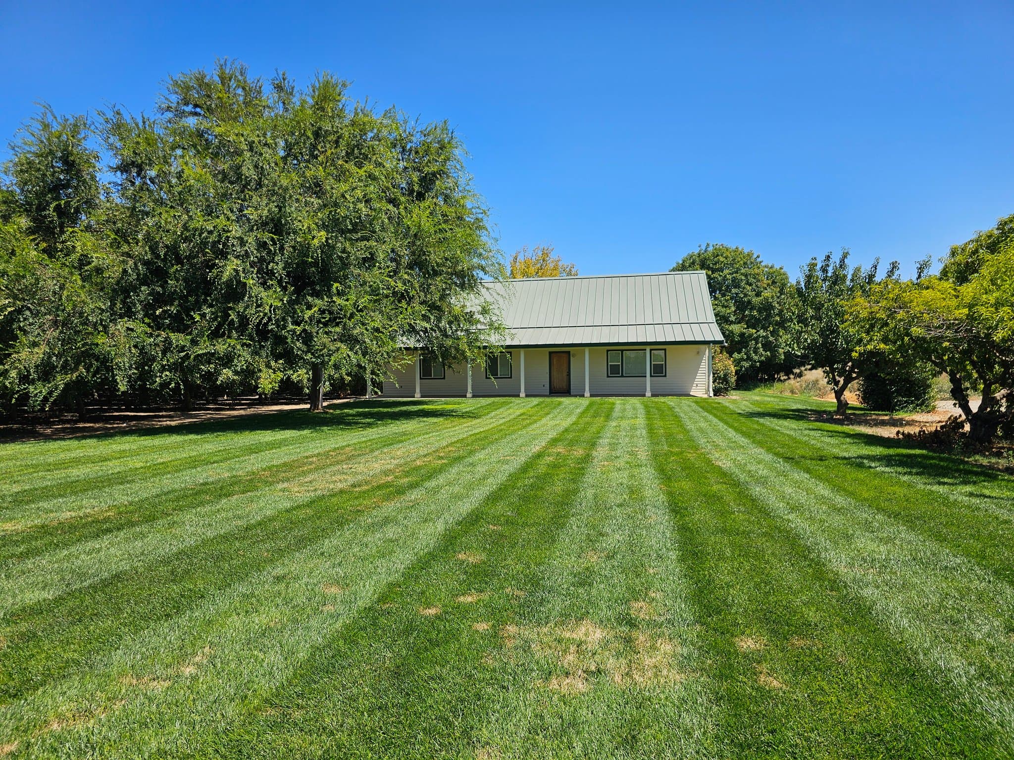 Patterson House: 705 Almond Ave