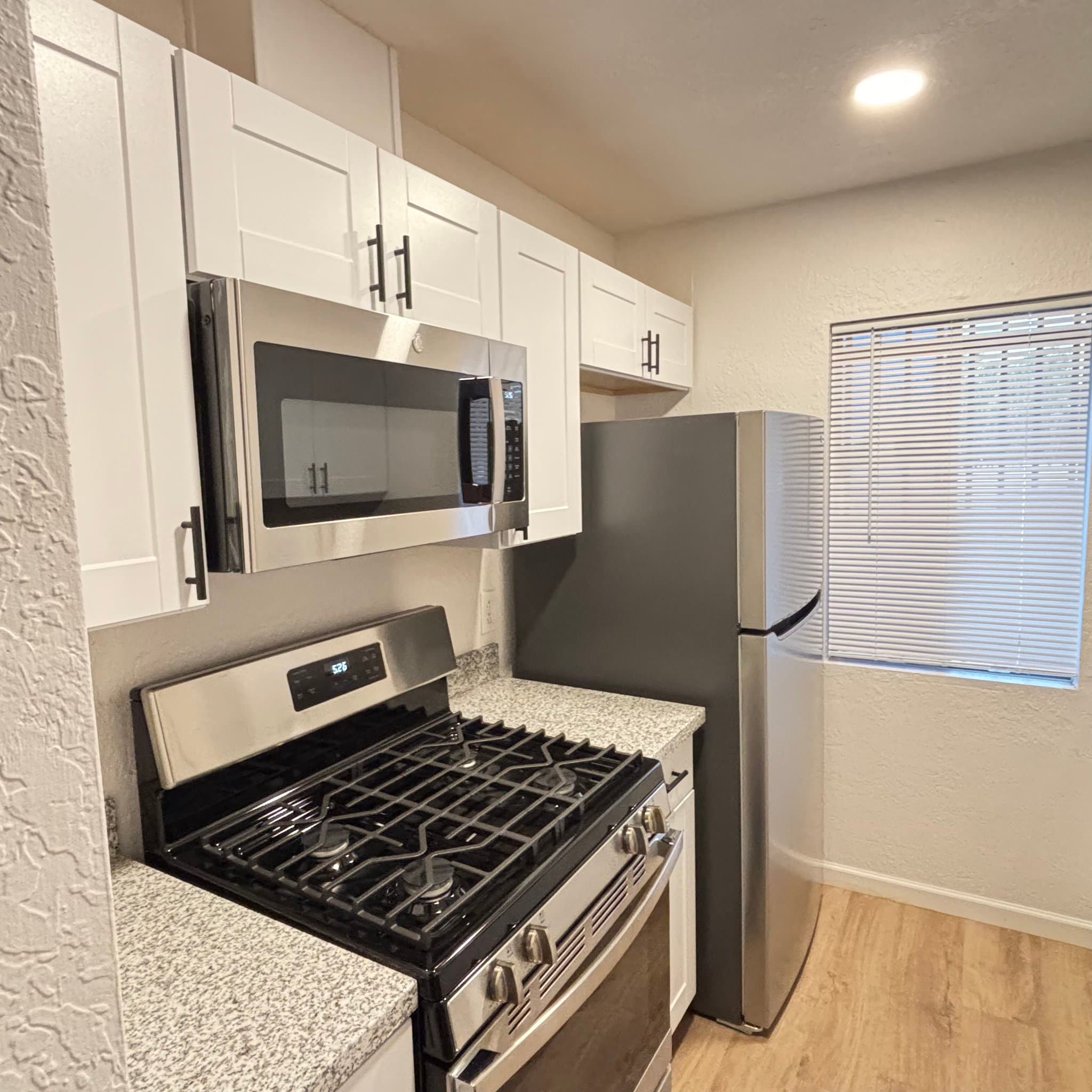 Tucson Condo: 828 S Langley Ave