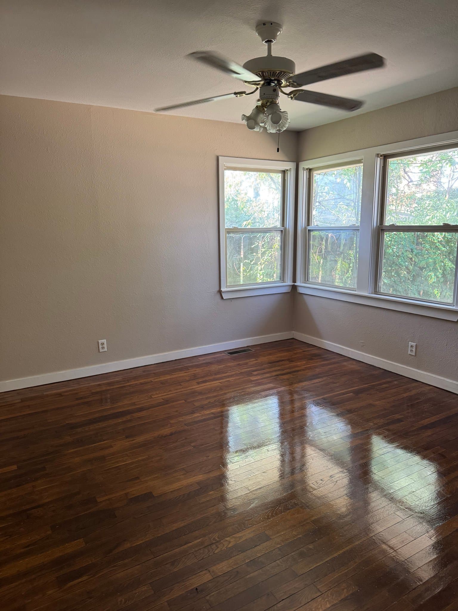 Hot Springs House: 246 Hobson
