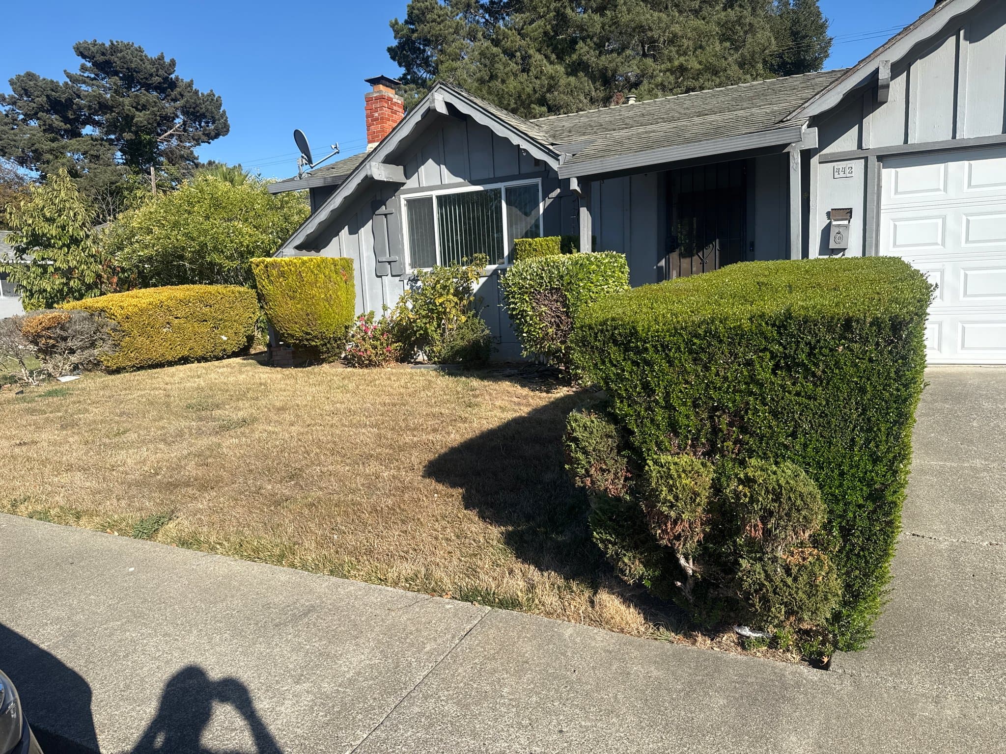 Vallejo House: 442 Pomona Ave