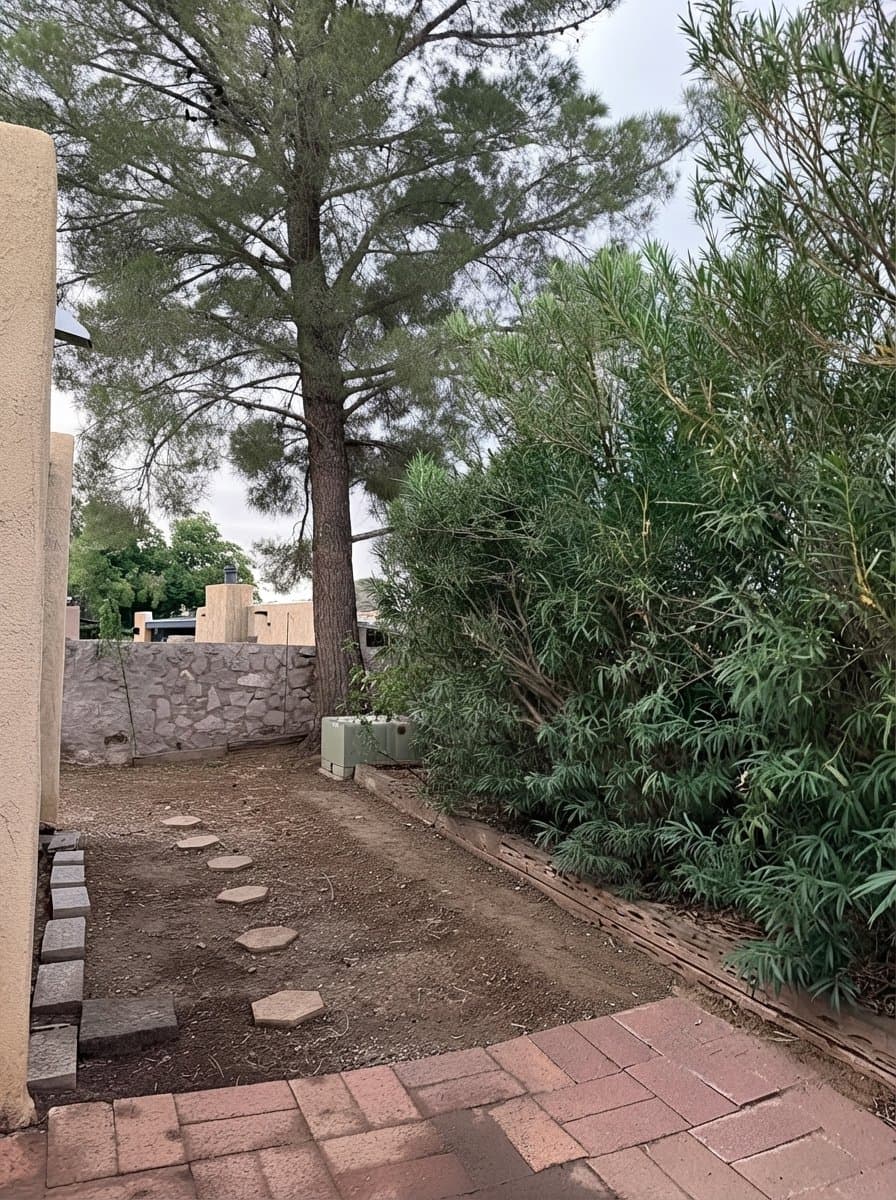 Las Cruces Townhome: 1267 Birch Dr