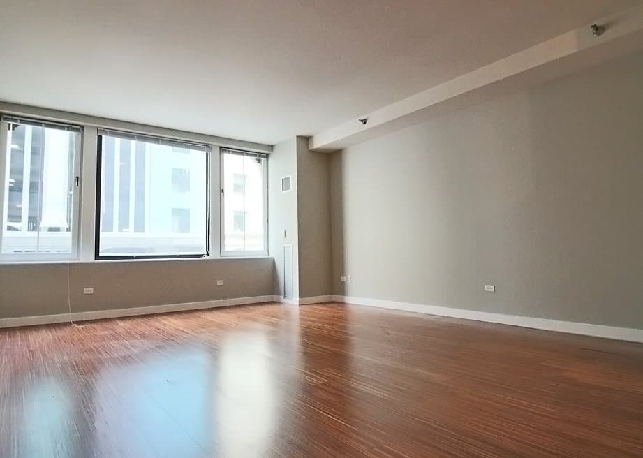 Chicago Condo: 49 E Lake St