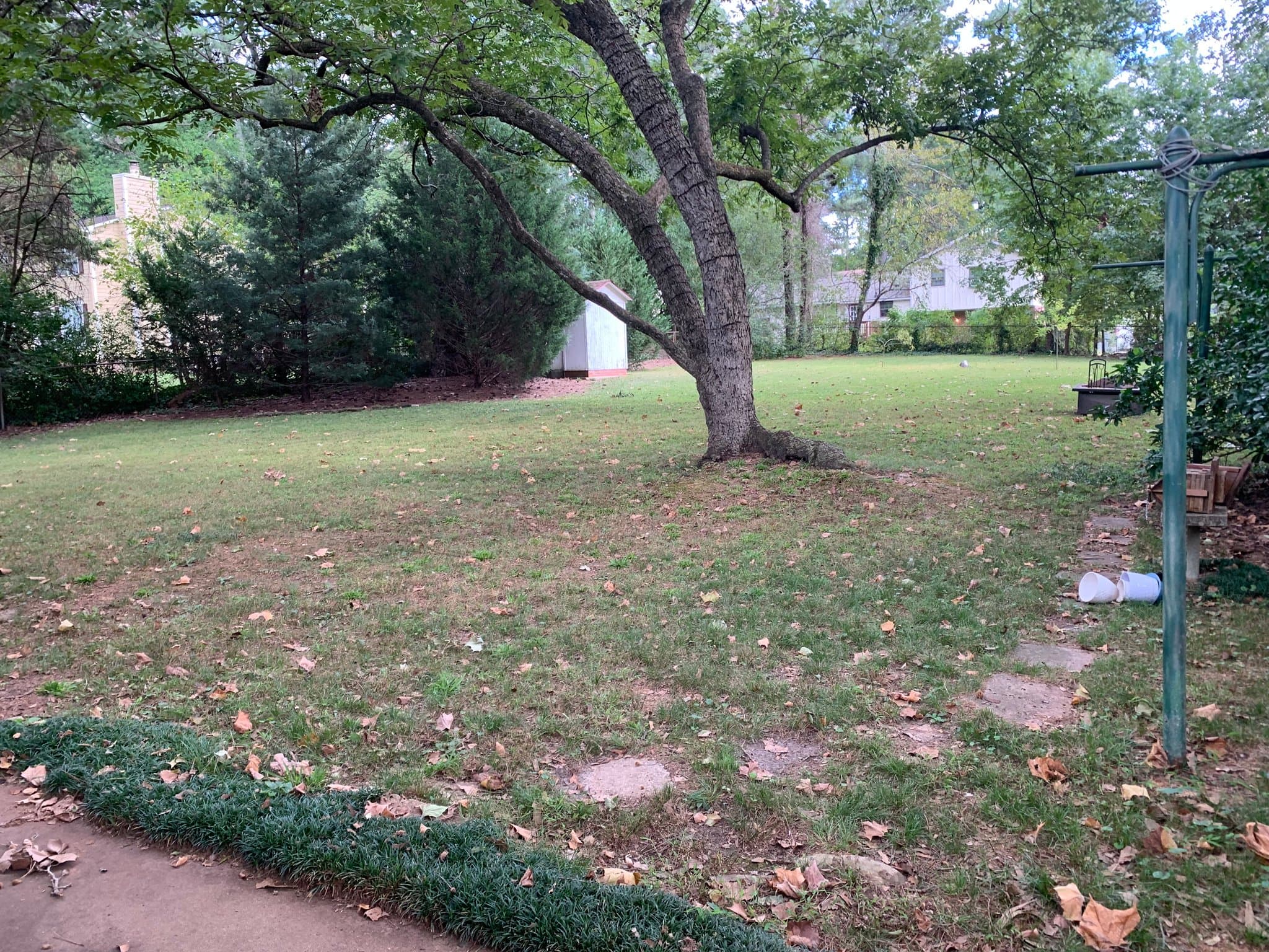Cary House: 340 E Park St