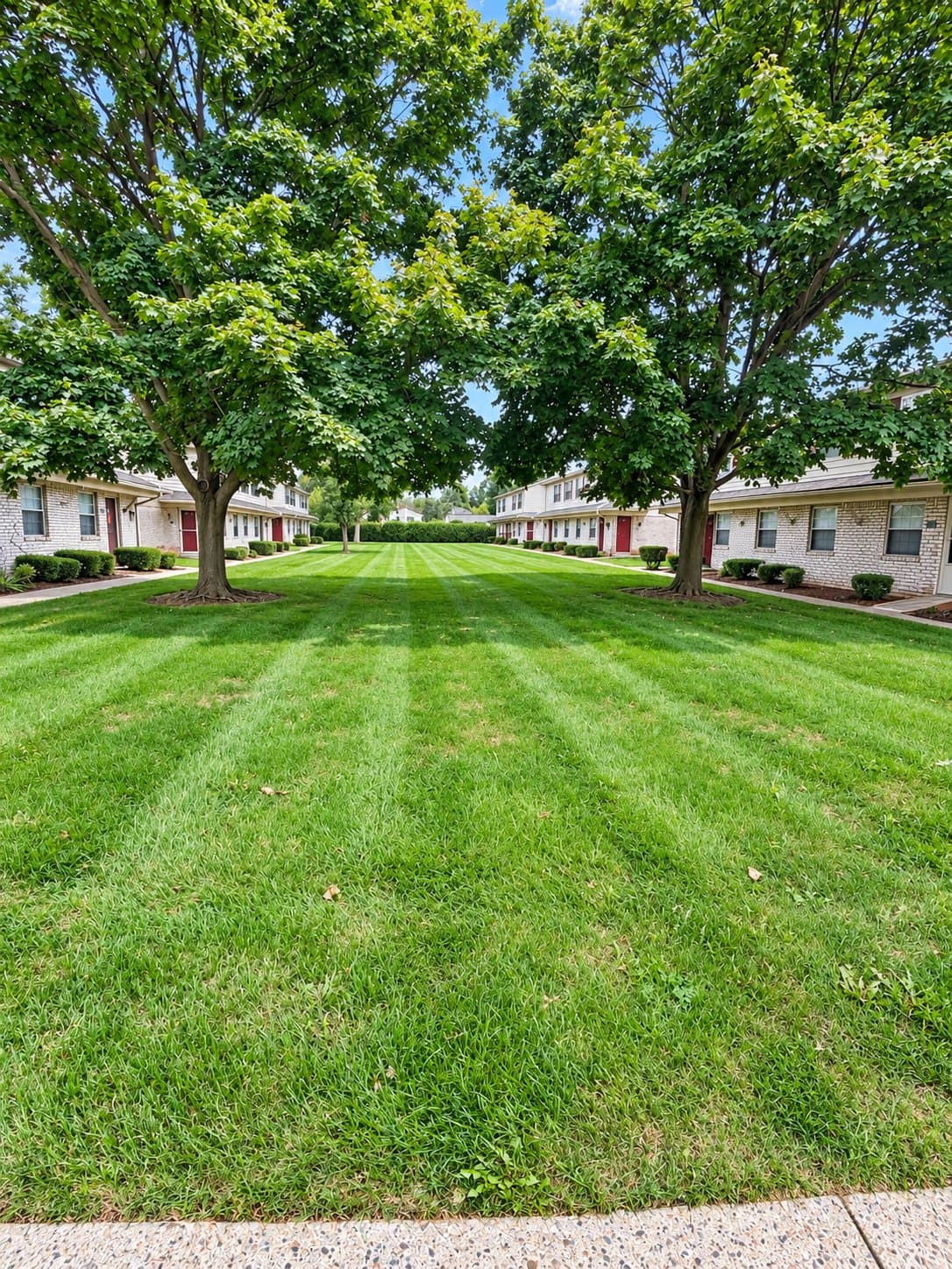 South Lyon Condo: 132 Princeton Dr
