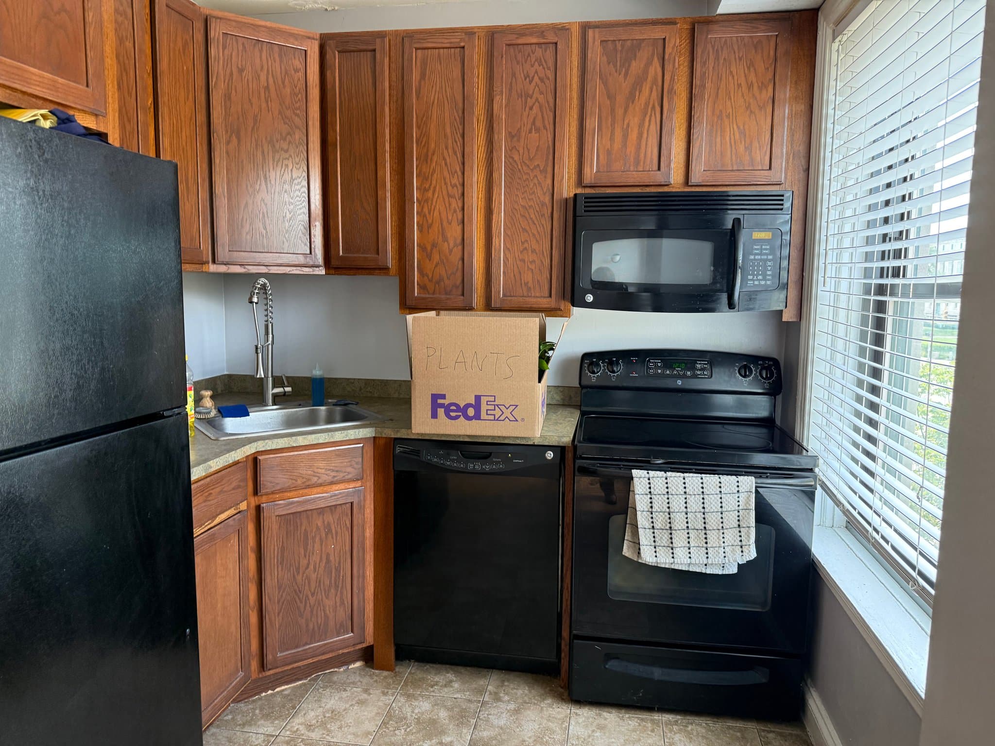 Detroit Condo: 15 E. Kirby