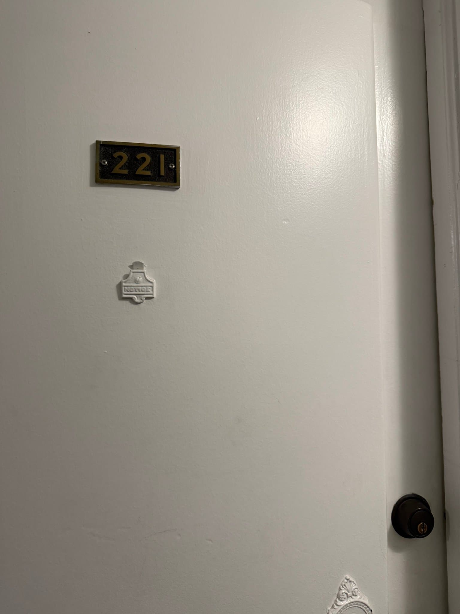 Detroit Condo: 15 E. Kirby