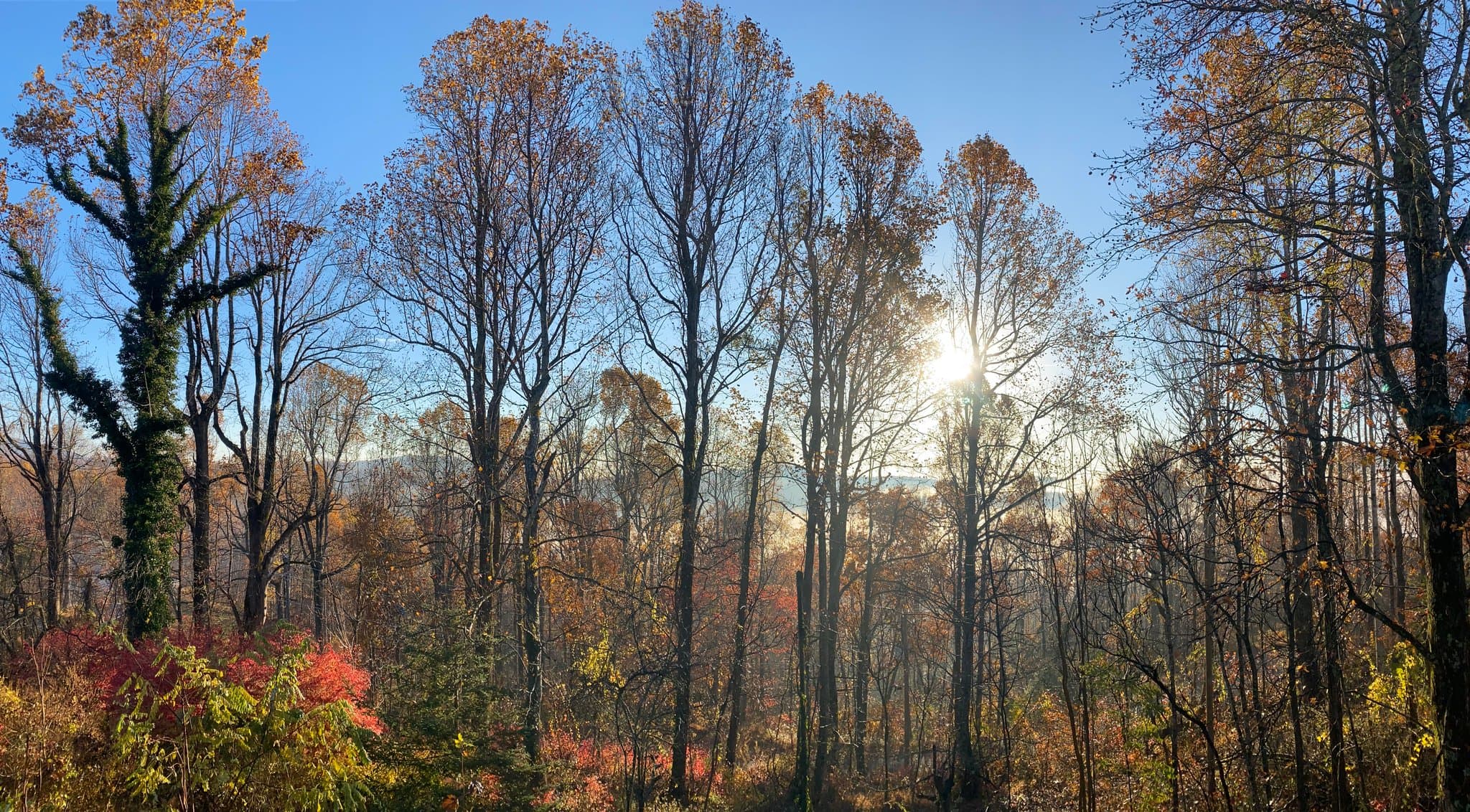 Hendersonville House: 153 Point Lookout Cir