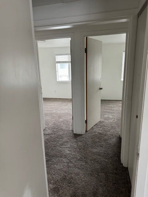 Ephraim Townhome: 254 East Center St
