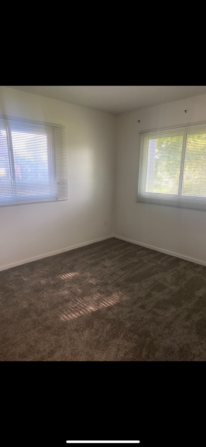 Moline Apartment: 4004 25th street
